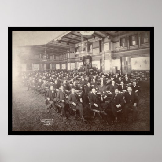 Minnesota House Reps Foto 1901 Poster (Vorne)