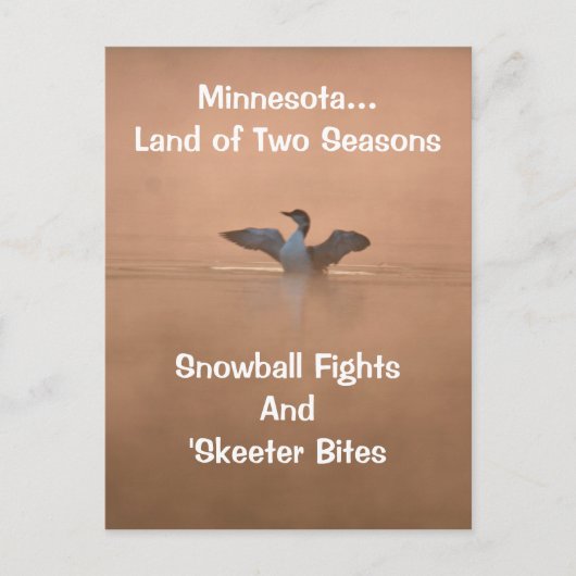Minnesota...Land der zwei Jahreszeiten Postkarte (Vorderseite)