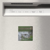 Minnesota Magnet (In Situ (Geschirrspüler))