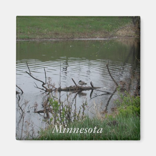 Minnesota Magnet (Vorne)