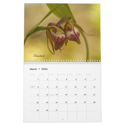 Minnesota-Orchideenkalender Kalender (Mär 2026)