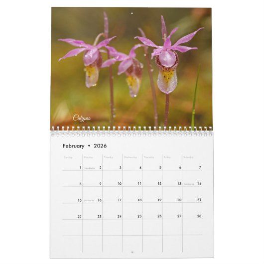 Minnesota-Orchideenkalender Kalender (Feb 2026)