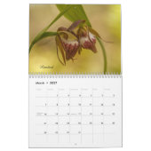 Minnesota-Orchideenkalender Kalender (Mär 2027)