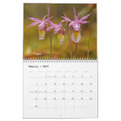 Minnesota-Orchideenkalender Kalender (Feb 2027)