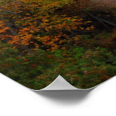 Minnesota Poster (Ecke)