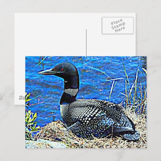 Minnesota Postkarte (Vorne/Hinten)