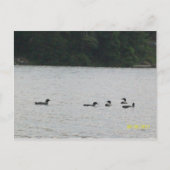 Minnesota Postkarte (Vorderseite)