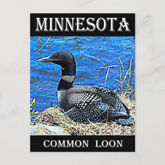 Minnesota Postkarte (Vorderseite)