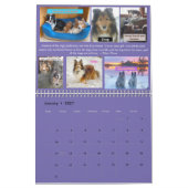 Minnesota Sheltie Rescue 2021 Kalender (Jan 2027)