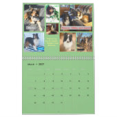 Minnesota Sheltie Rescue 2021 Kalender (Mär 2027)