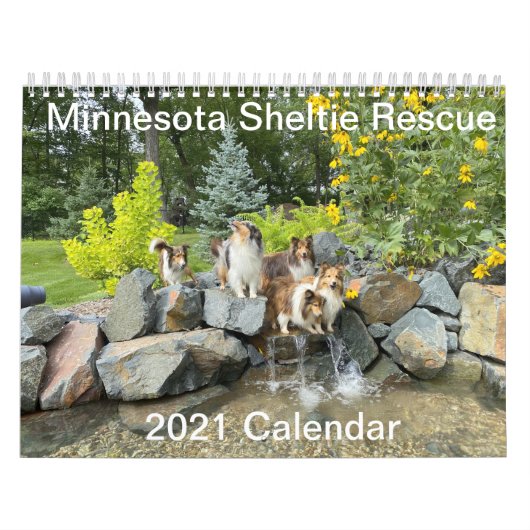 Minnesota Sheltie Rescue 2021 Kalender (Titelbild)