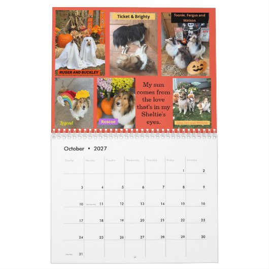Minnesota Sheltie Rescue 2022 Kalender (Okt 2027)