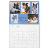 Minnesota Sheltie Rescue 2022 Kalender (Jan 2027)