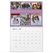 MINNESOTA SHELTIE RESCUE 2023 KALENDER (Feb 2027)