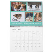 MINNESOTA SHELTIE RESCUE 2023 KALENDER (Jan 2027)