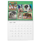 MINNESOTA SHELTIE RESCUE 2023 KALENDER (Mär 2027)