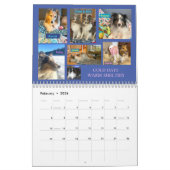MINNESOTA SHELTIE RESCUE 2024 KALENDER (Feb 2026)