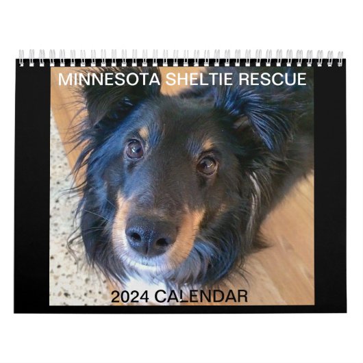 MINNESOTA SHELTIE RESCUE 2024 KALENDER (Titelbild)