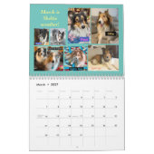 MINNESOTA SHELTIE RESCUE 2024 KALENDER (Mär 2027)
