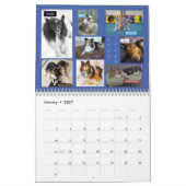 MINNESOTA SHELTIE RESCUE 2024 KALENDER (Jan 2027)