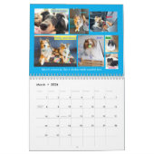 Minnesota Sheltie Rescue Calendar 2025 Kalender (Mär 2026)