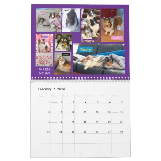 Minnesota Sheltie Rescue Calendar 2025 Kalender (Feb 2026)