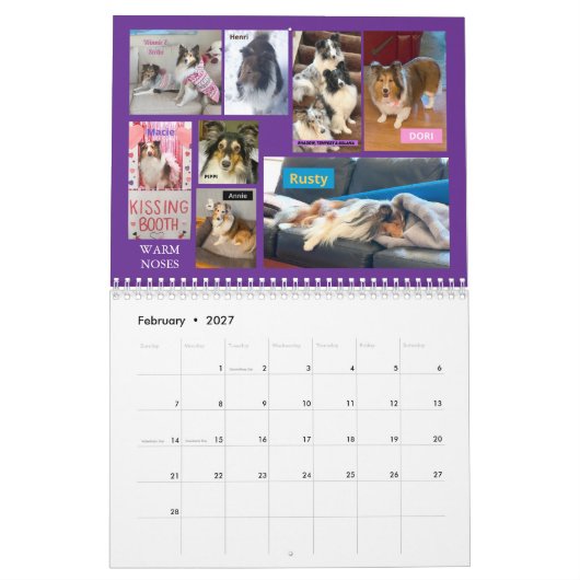 Minnesota Sheltie Rescue Calendar 2025 Kalender (Feb 2027)