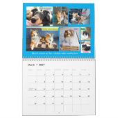 Minnesota Sheltie Rescue Calendar 2025 Kalender (Mär 2027)
