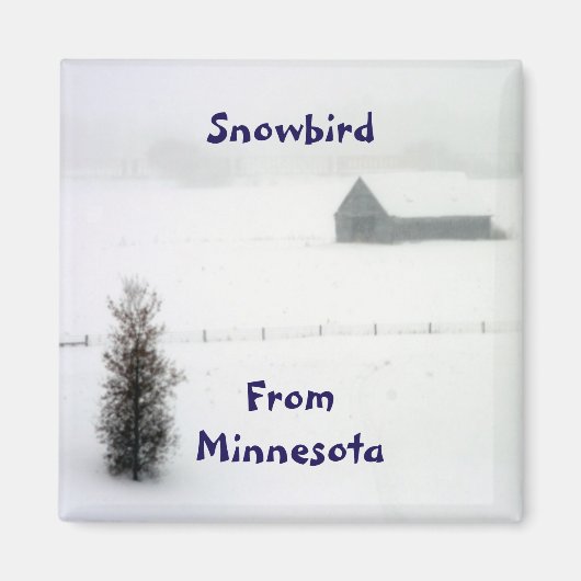 Minnesota Snowbird Magnet (Vorne)