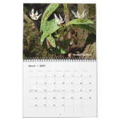 Minnesota Staat Parks 2026 Kalender (Mär 2027)