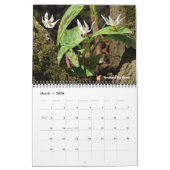 Minnesota Staat Parks 2026 Kalender (Mär 2026)