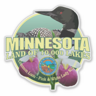 Minnesota-Staats-Vogel u. Blume Aufkleber