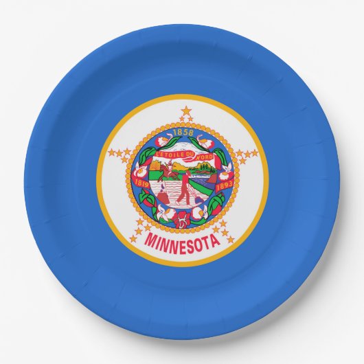 Minnesota State Flag Design Pappteller (Vorderseite)
