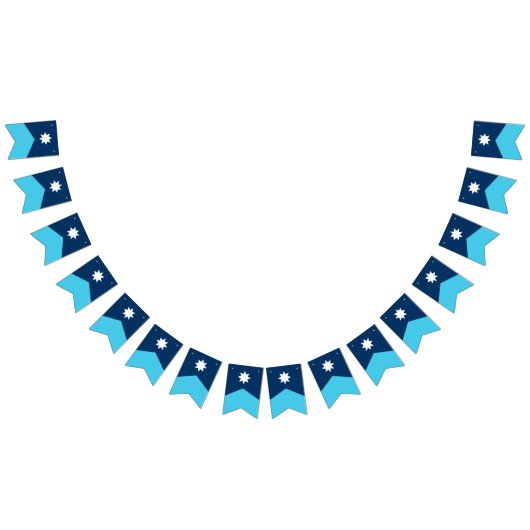 Minnesota State Flag Pennant Bunting Wimpelkette (Alle)