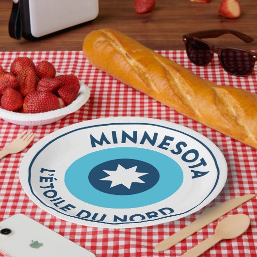 Minnesota State Flag Roundel Pappteller (Picknick)