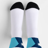 Minnesota State flag Socken (Oben)