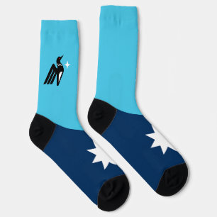 Minnesota State Flag Socks Socken
