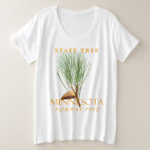 Minnesota Territory Tree Norwegische Kiefer