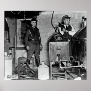 MINNESOTA-VERBOT-MONDENSCHEIN-FEHLSCHLAG POSTER