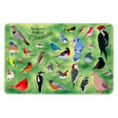 Minnesota-Vögel Flexibler Foto-Magnet Magnet (Horizontal)