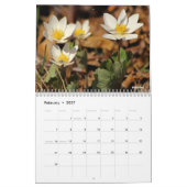 Minnesota Wildblume 2026 12 Monatsmauer Kalender (Feb 2027)