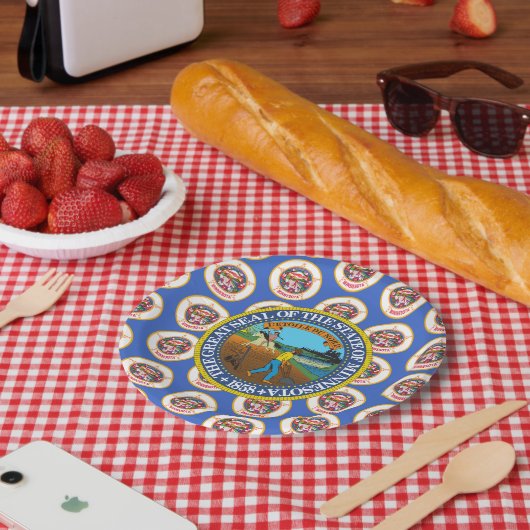 Minnesotan-Flagge & Siegel, Minnesota Pappteller (Picknick)