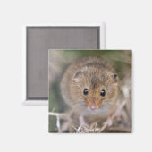 Minnie Magnet (Vorderseite/Rückseite)