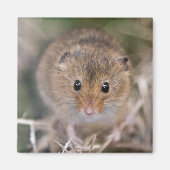 Minnie Magnet (Vorne)