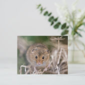 Minnie Postcard Postkarte (Stehend Vorderseite)