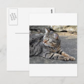 Minnie the Minx Postkarte (Vorne/Hinten)