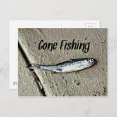 Minnow Bait "Gone Fishing" Postkarte (Vorne/Hinten)