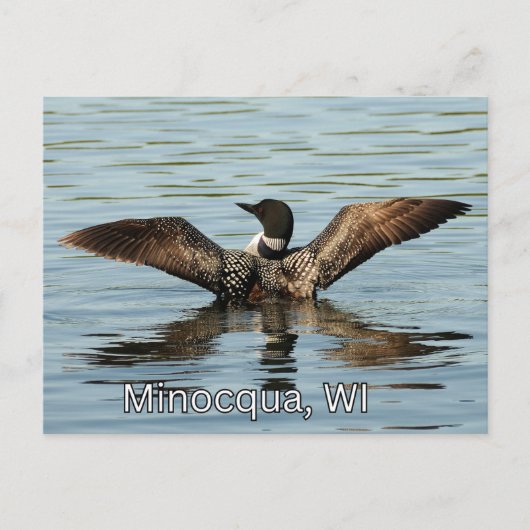 Minocqua, WI-PostkartenSouvenir Postkarte (Vorderseite)