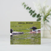 Minocqua Wisconsin Postcard Locarno Postkarte (Stehend Vorderseite)