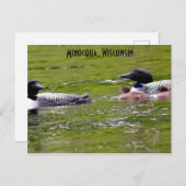 Minocqua Wisconsin Postcard Locarno Postkarte (Vorne/Hinten)